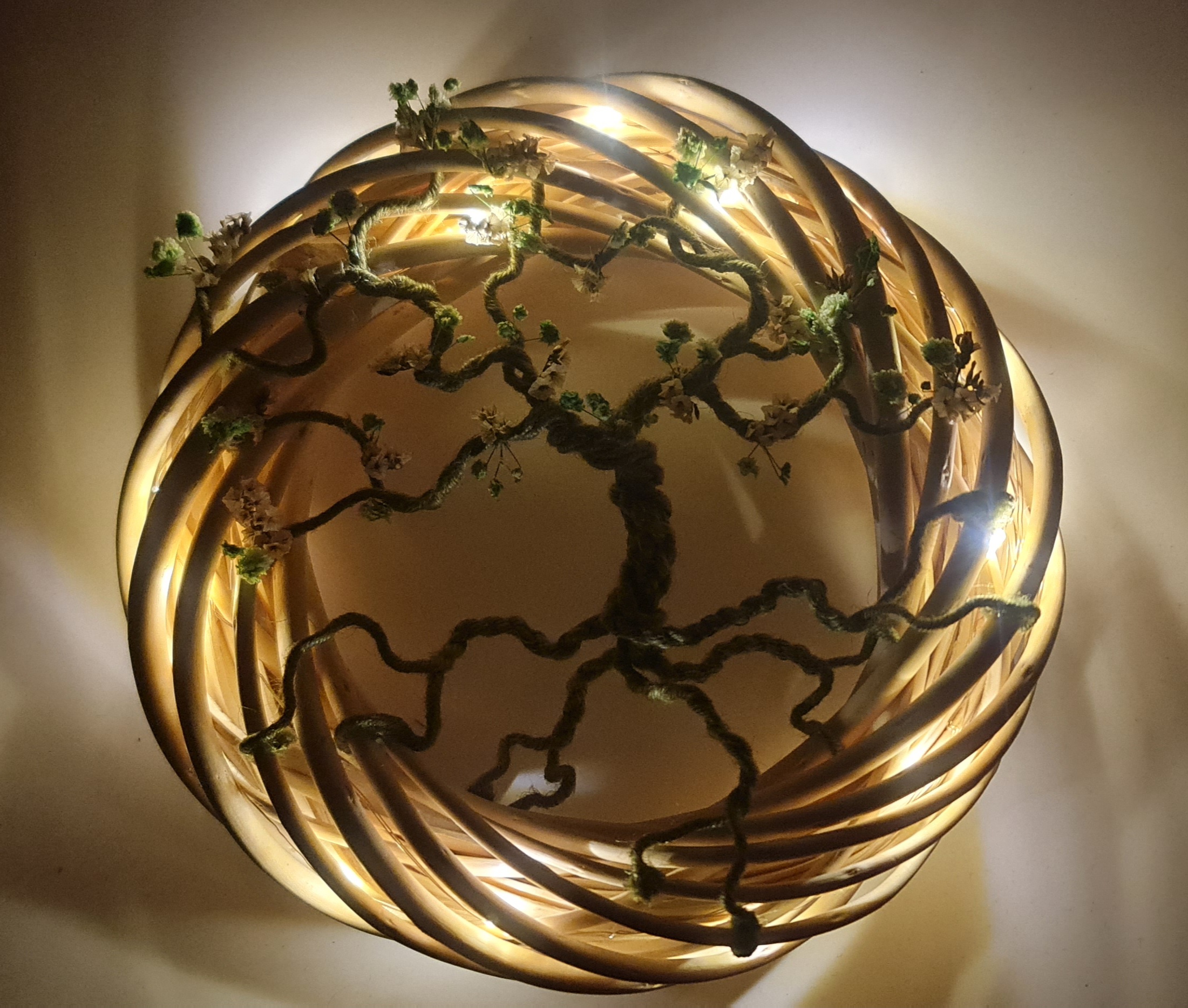 Arbre cercle osier lumineux vert